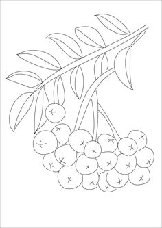 Online coloring book: Coloring book tiny rowan